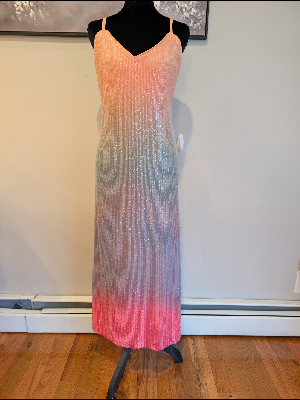 ​NWT Steve Madden Catania Sequin Ombré Maxi Slip Dress Size 6
